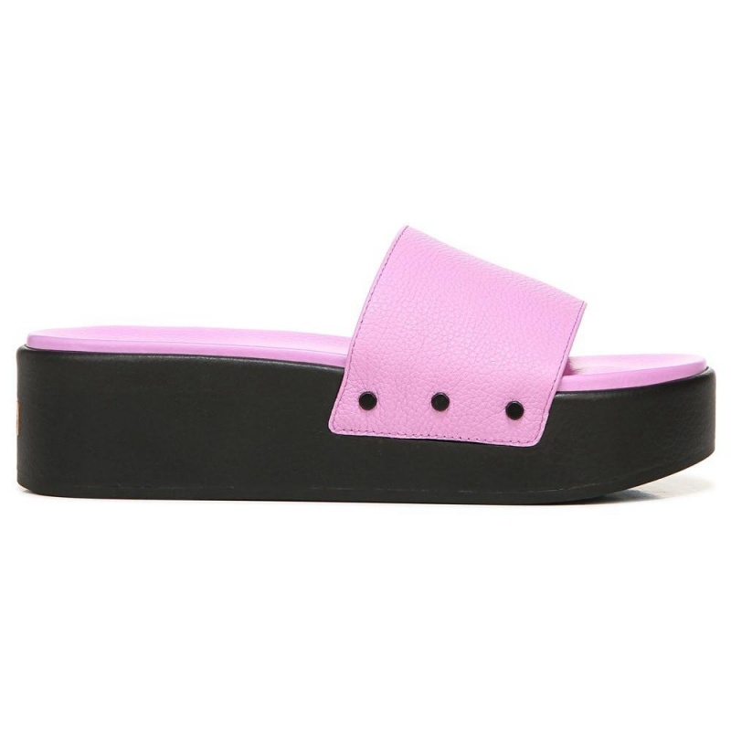 Dr. Scholl's Pisces Max Rantasandaalit Naisten Platform Sandaalit Violetit | TWBXN-3652